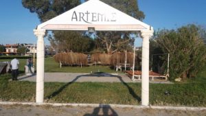 saz hasır dekorasyon artemis